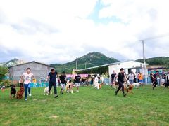 -趣玩宠物乐园寄养训犬训狗游泳池