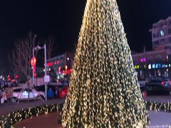 -高新·活力城Village
