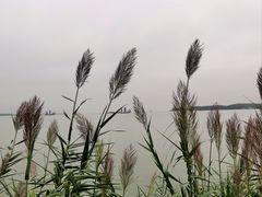 -苏州湾体育公园
