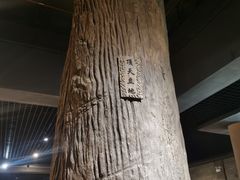 -乐山乌木文化博览苑