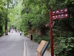 -岳麓山风景名胜区