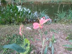 -人民公园(罗湖区)