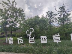 -紫云台香草园