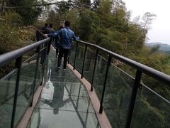 -四明山国家森林公园