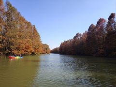 -上海海湾国家森林公园