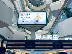 -野人先生Gelato(上海长宁龙之梦店)