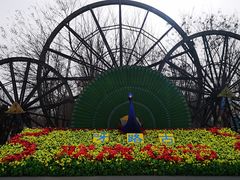 -呀路古热带植物园