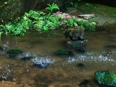 -川西竹海景区