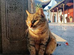-西园戒幢律寺