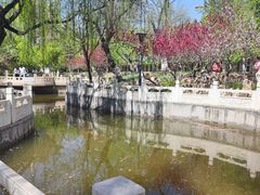-桃花堤公园