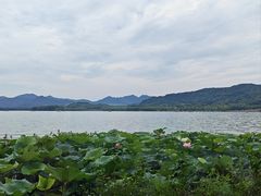 -湖畔居茶楼(湖滨店)