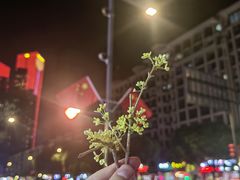 -旋风烤面筋烧烤(万达茶南店)