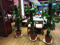 -天和晟新京菜.水煮鱼.湘土菜(国展店)