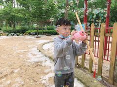 -合肥滨湖国家森林公园