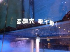 -大头椰·椰子鸡火锅(南宁万象城店)