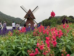 -广州市石门国家森林公园