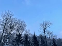 -亚布力新体委滑雪场