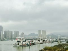 -野狸岛