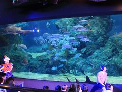 -暹罗海洋世界