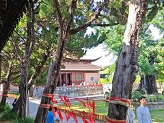 -苏州文庙(姑苏区)