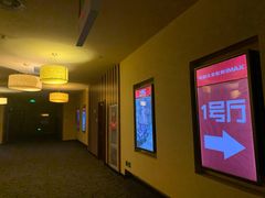 -华谊兄弟影院(IMAX洋桥店)