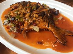 -老苏扬饭店