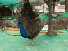 -陕西自然博物馆