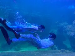 -左海海底世界