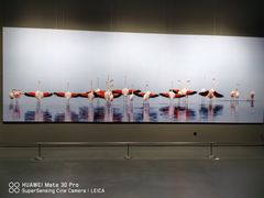 -罗红摄影艺术馆