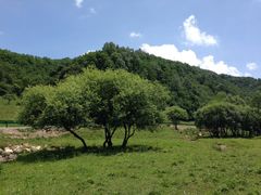 -大水川景区