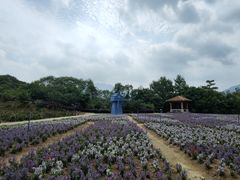 -广州市流溪河国家森林公园