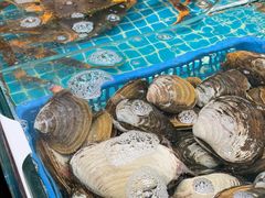 -震海贝烤贝·民俗特色店(延吉总店)