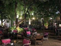 -Fern Forest Cafe