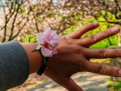 -白塘生态植物园