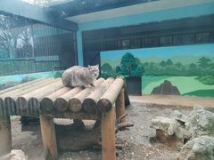 -昆明动物园