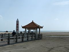 -东郊椰林