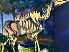 -安徽省地质博物馆