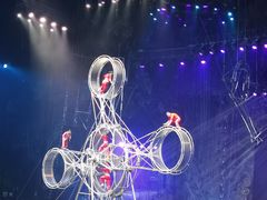 -广州长隆国际大马戏