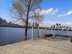 -长白岛森林公园