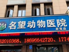 -瑞派名望24h动物医院异宠专科·猫专科·骨科·重症监护分院