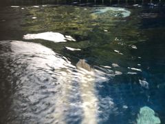 -厦门日月谷温泉渡假村