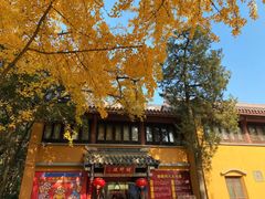 -灵谷景区