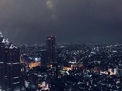 -东京都厅舍