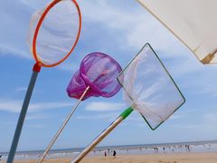 -日照海滨国家森林公园