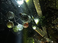 -梦田音乐miniLIVE(漳州店)