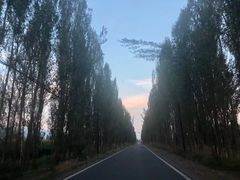 -伊犁河风景区