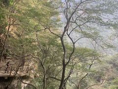 -永泰中国云顶
