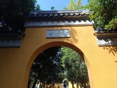 -苏州上方山国家森林公园