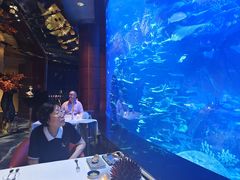 -迪拜帆船酒店海底餐厅