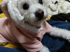 -关爱宠物医院·猫科中心·消化科(滨湖万达分院)